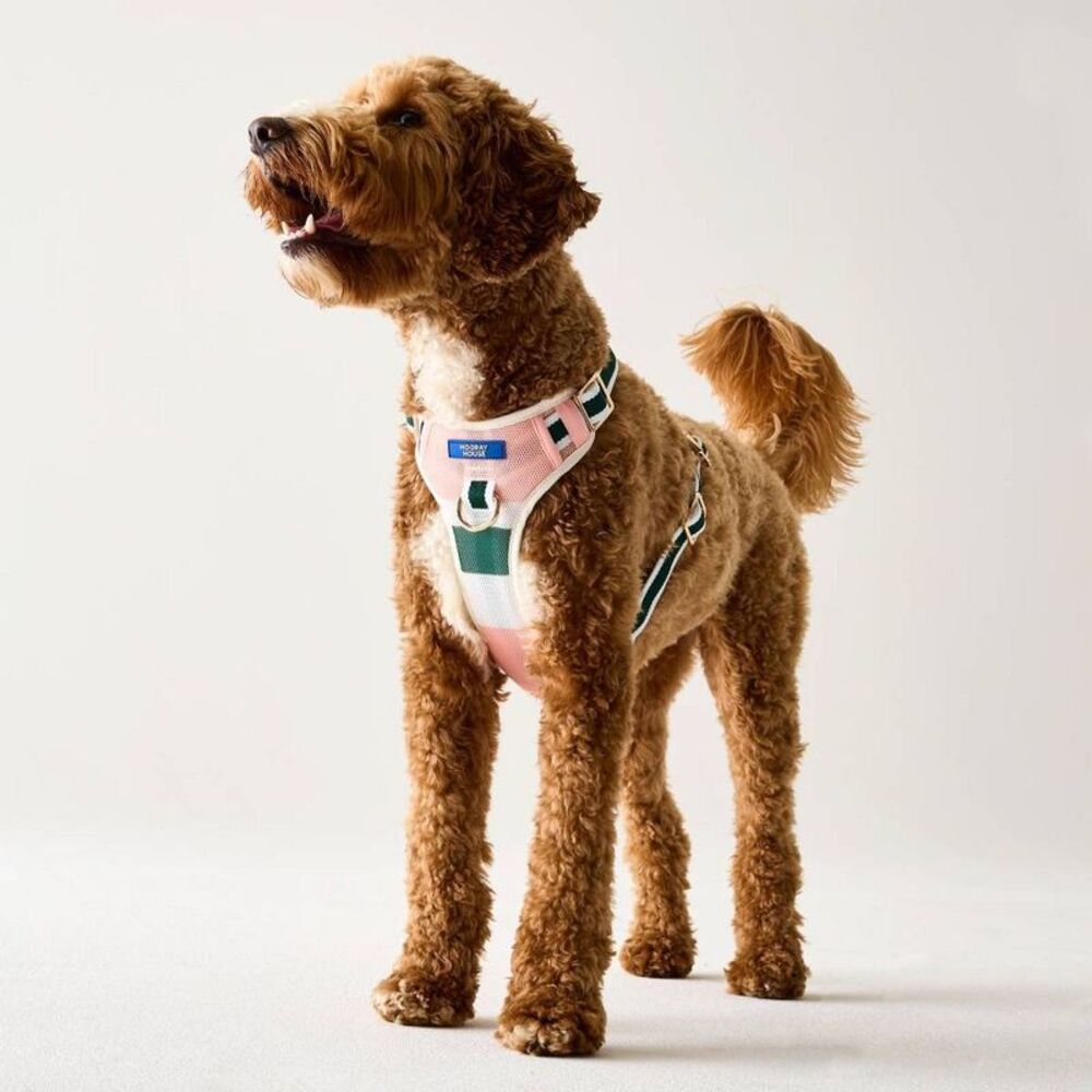 Hooray House Performance Mesh Dog Harness - Pink L